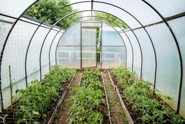 How to Create a Backyard Pollinator Waystation That's Eco-Chic and Totally DIY